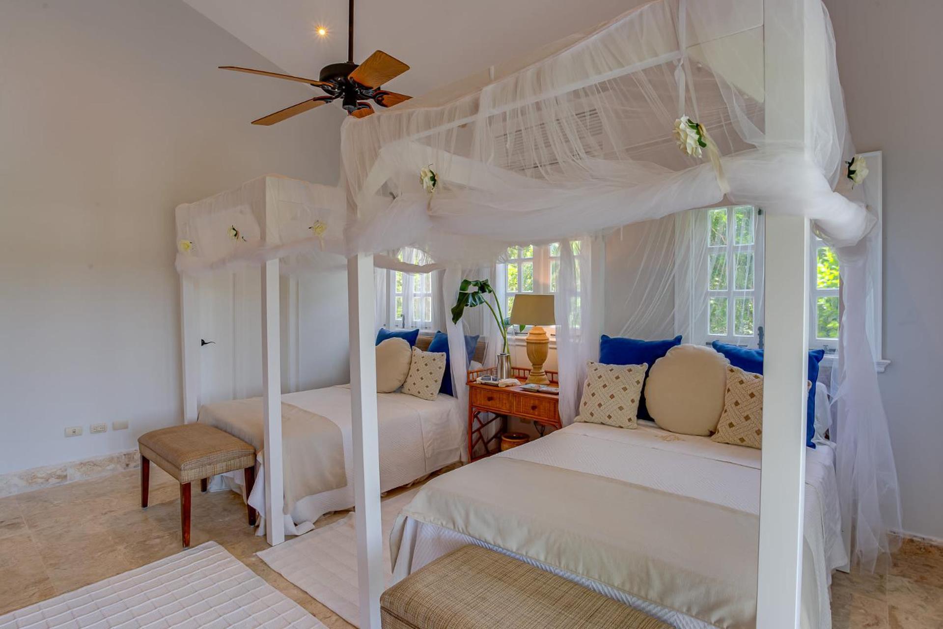 Tortuga Punta Cana